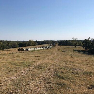 Tract A Farm Road 2080, Jenkins, MO 65605 - photo 4