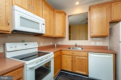 43 Yagers Rd, Luray, VA 22835 - photo 6