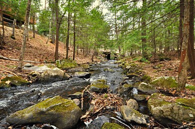 Benton Brook