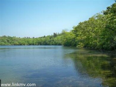 60 lot 3 Pepperbush Way, West Tisbury, MA 02568 - photo 7