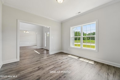 213 Big August Way, Jacksonville, NC 28544 - photo 6