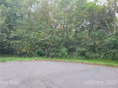 3.5 Hidden River Ln, Statesville, NC 28625 - photo 5