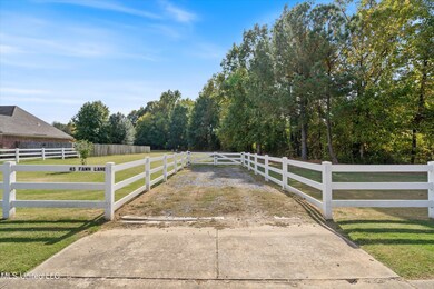 03-DSC5509