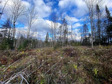 - Paquin, Colebrook, NH 03576 - photo 6