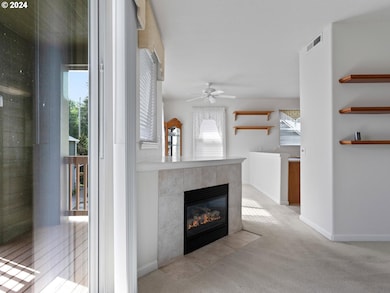 Fireplace Gas