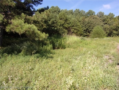 TBD Scenic View Rd, Ozark, AR 72949 - photo 6