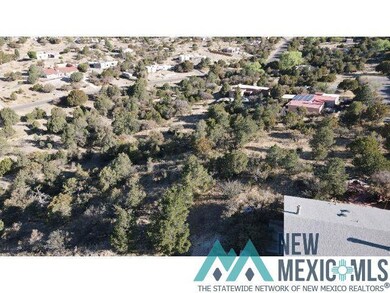 Lot 316 Eddie Ward, Silver City, NM 88061 - photo 2