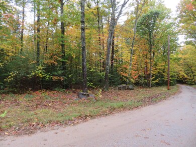 00 Savoy, Moultonborough, NH 03254 - photo 3