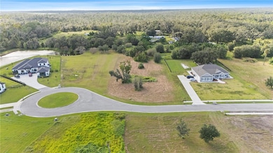 15323 Fishhawk Heights Run, Lithia, FL 33547 - photo 4