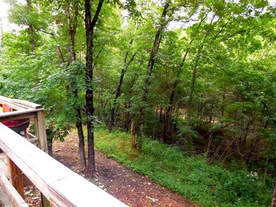 View from Deck