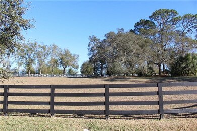 30422 Lipizzan Terrace, Mount Dora, FL 32757 - photo 5