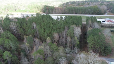 0 Bluffs Cir unit 25 21416175, Wedowee, AL 36278 - photo 6