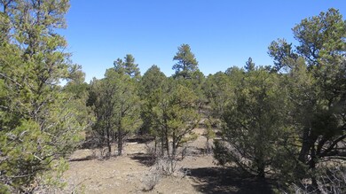 IMG_3629