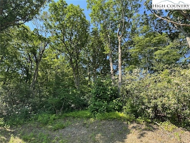 TBD Camden Ln, Blowing Rock, NC 28605 - photo 3