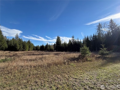 138 Shelton Rd, Randle, WA 98377 - photo 5