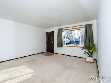 14 Daisy Ct, Windsor, CO 80550 - photo 3