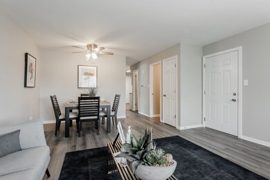 10023 Holly Ln unit 2N, Des Plaines, IL 60016 - photo 5