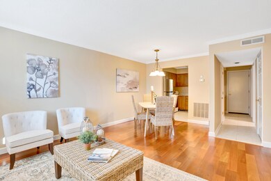 315-3-McBrien-Rd-MLS-Photos-8