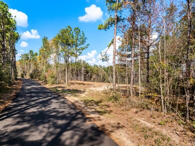 00 Springhill School Rd, Collins, MS 39428 - photo 4