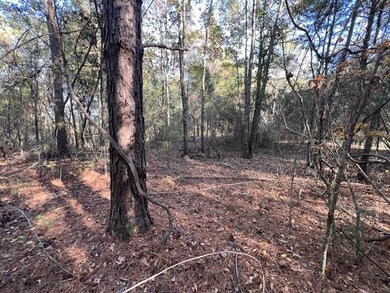 3 ac County Road 404, Elba, AL 36323 - photo 7