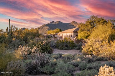 Lush Desert PReserve Behind