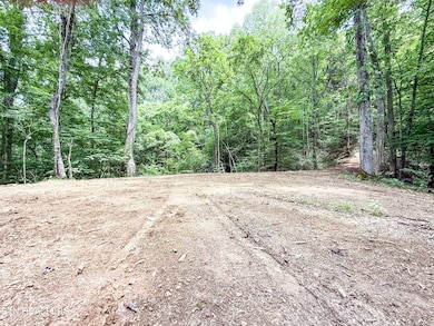 0 Forest Creek Pkwy unit RTC2908571, Oak Ridge, TN 37830 - photo 3