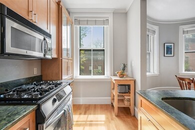 9 Upton St unit 2, Boston, MA 02118 - photo 5