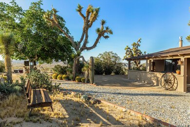 6785 Saddleback Rd, Joshua Tree, CA 92252 - photo 7
