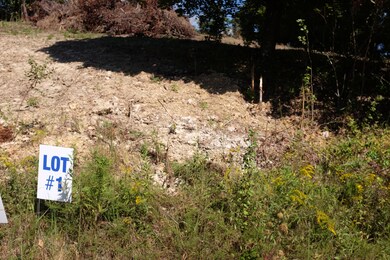 1 Golden Pond Dr, London, KY 40744 - photo 2