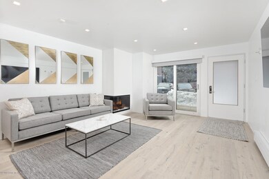 210 E Cooper Ave Aspen CO-large-002-3-21