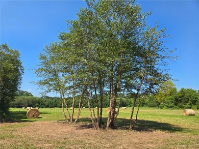 425 SE 611th - Tract A - Rd, Clinton, MO 64735 - photo 4