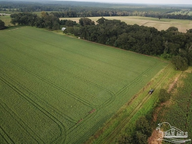 8+ acres Florida 87, Milton, FL 32570 - photo 3