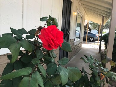Crescent Rose Front Porch