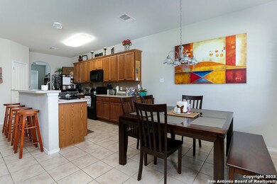 25639 Sago Palm, San Antonio, TX 78261 - photo 4