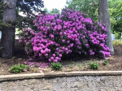 353 Mower St, Worcester, MA 01602 - photo 6