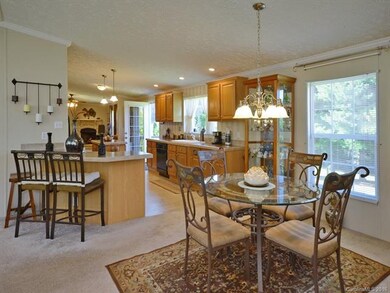 241 W Walt Haven Dr, Leicester, NC 28748 - photo 7