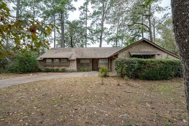 226 Spring Pines Dr, Spring, TX 77386 - photo 4