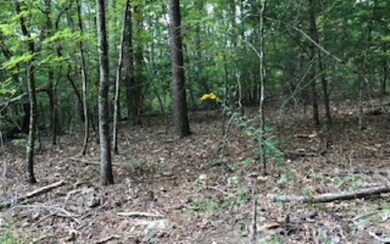 LT 19 Cartecay Cove Ln, Ellijay, GA 30536 - photo 4