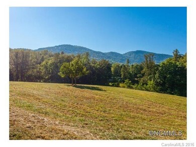 000 Newfound Rd, Leicester, NC 28748 - photo 7