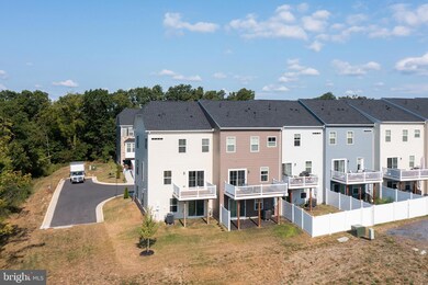 131 Bayhill Terrace, White Post, VA 22663 - photo 5