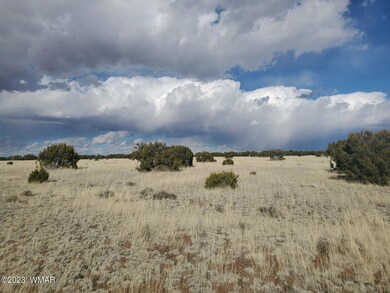 0 Cr 5074 unit 241411, Concho, AZ 85924 - photo 4