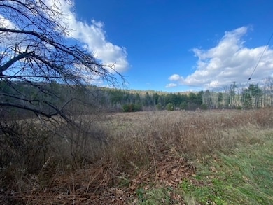 0 E Alford Rd, West Stockbridge, MA 01266 - photo 3