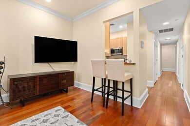 175 Saint Botolph St unit 1, Boston, MA 02115 - photo 5