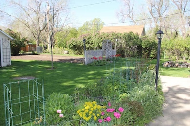 Backyard View 3