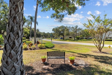 View from Front Patio