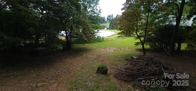 Lot 80 Serpentine Dr unit 80A, Columbus, NC 28722 - photo 3