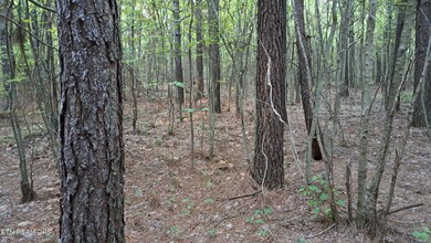 Lot 22 Airport Rd (Pca), Rockwood, TN 37854 - photo 4