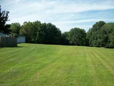 View of the back yard