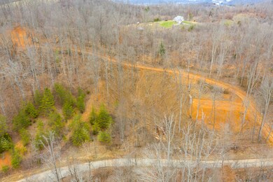 Ahaerials- (2 of 26)