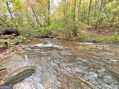 571 Jones Creek Rd, Ellijay, GA 30540 - photo 3